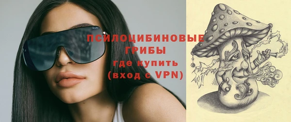 ПСИЛОЦИБИНОВЫЕ ГРИБЫ Козловка
