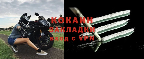 ПСИЛОЦИБИНОВЫЕ ГРИБЫ Козловка