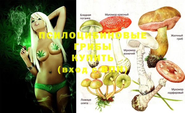 MDMA Костерёво