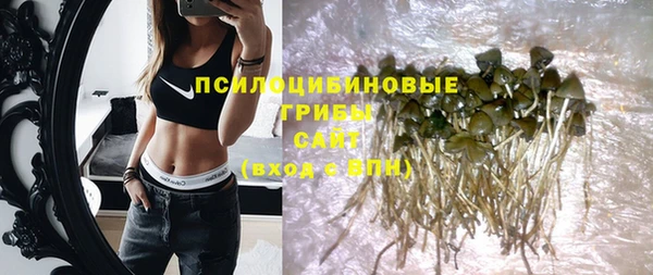 ПСИЛОЦИБИНОВЫЕ ГРИБЫ Козловка